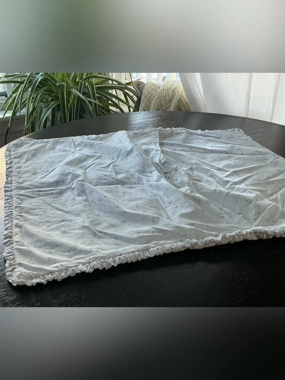 EUC Simply Shabby Chic Ruffled Pillow Sham